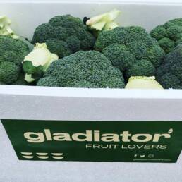 Brocoli Gladiator Fruit Lovers